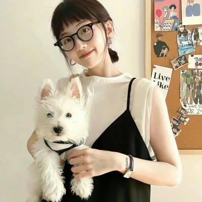 刑事侦缉档案4