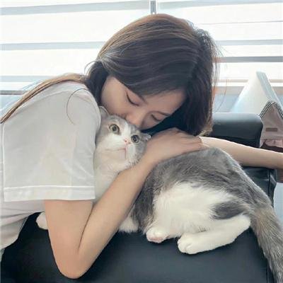 蒙面达虎